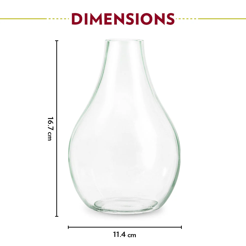 Borosil Grace Vase, 1 Unit - Image 4