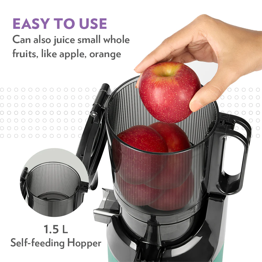 Vita Rich Cold Press Slow Juicer - Image 4
