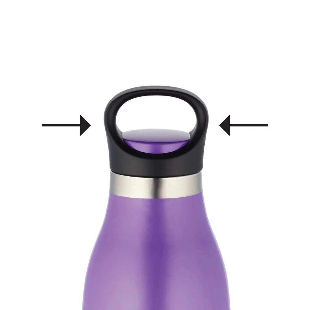 Colour Crush Double Wall Bottle, Violet - Image 11